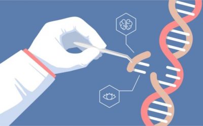 Attending the 1st South African Conference on Gene Editing