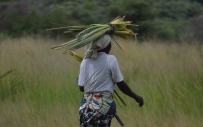 Democratising the commons – reflections from Namibia