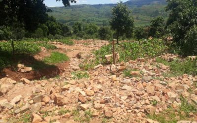 Hope and hopelessness in the aftermath of Cyclone Idai in the Chimanimani District of Zimbabwe: An assessment of the potential of agroecology