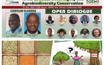 Tanzania’s tussle over the future of seed