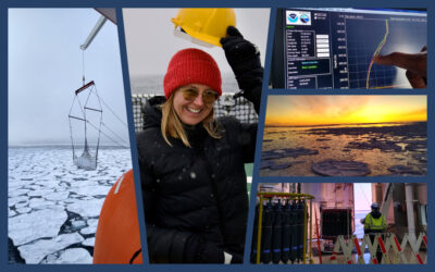 Going south: reflecting on science in practice in the Antarctic polar zone