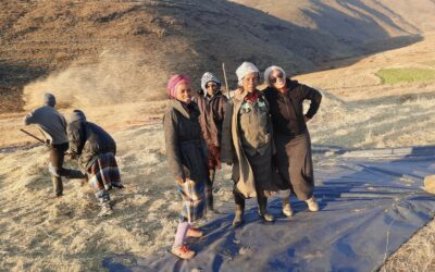 Chasing Pelargoniums in southern Lesotho: my experiences with community entry and interaction