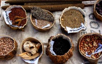 PhD Bursary: Agroecological transitions in Southern Africa