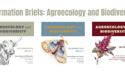 Introducing Three Information Briefs on Agroecology and Biodiversity
