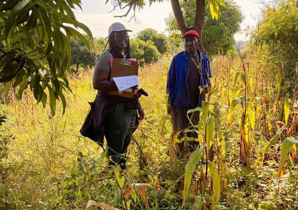 When I Put My Notebook Down: Lessons from Listening to Farmers